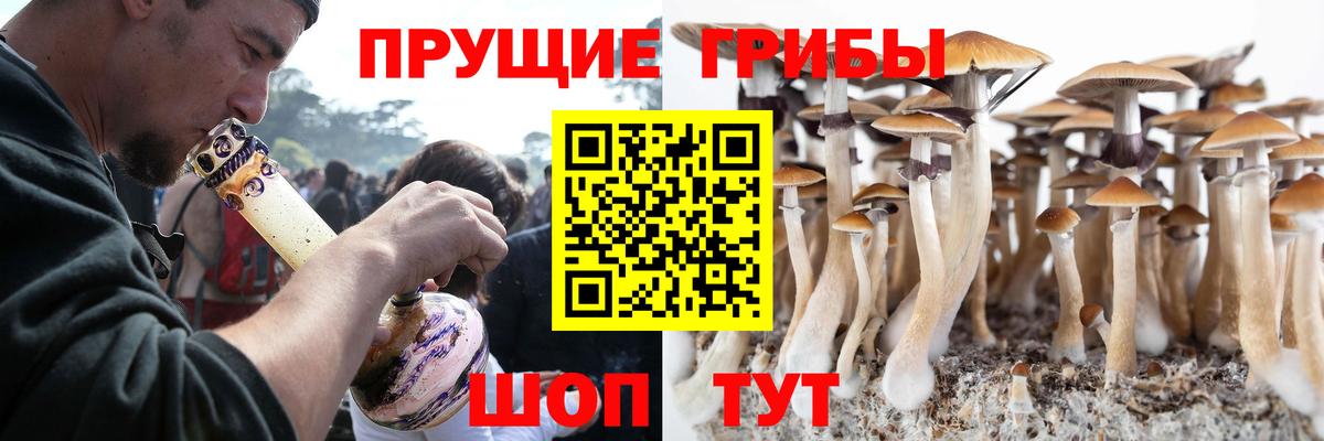 Галлюциногенные грибы Magic Shrooms  Галлюциногенные грибы Magic Shrooms  Вход с VPN  Коркино 