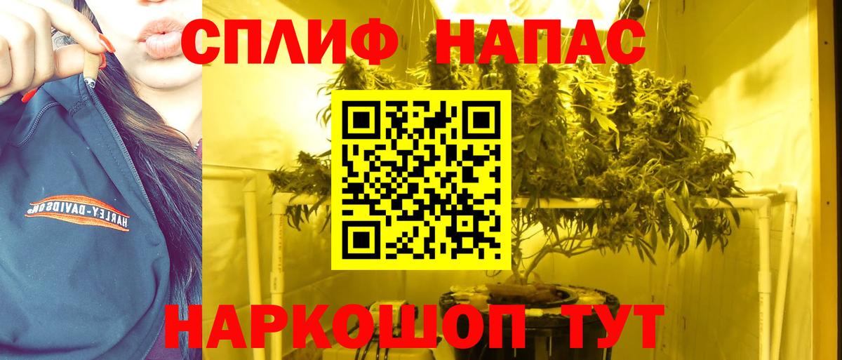 Бошки Шишки Amnesia Коркино